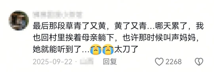 图源@主播海霞 视频及评论