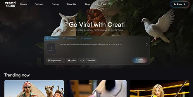Creati。图源：受访者供图