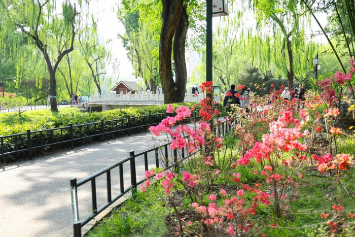 紫竹院公园“最美园路”呈现“五一”新景观