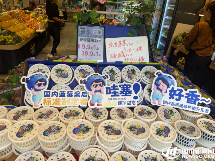 蓝莓被摆在显眼的位置