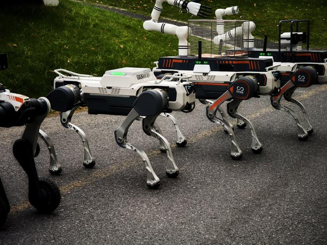  巡检机器狗展示 界面新闻记者李家琦摄