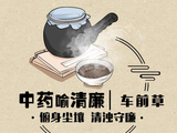 中药喻清廉丨车前草：俯身尘壤 清浊守廉