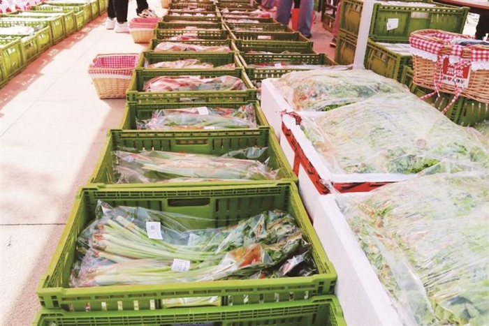  ●本报记者 杨彩霞 文/图