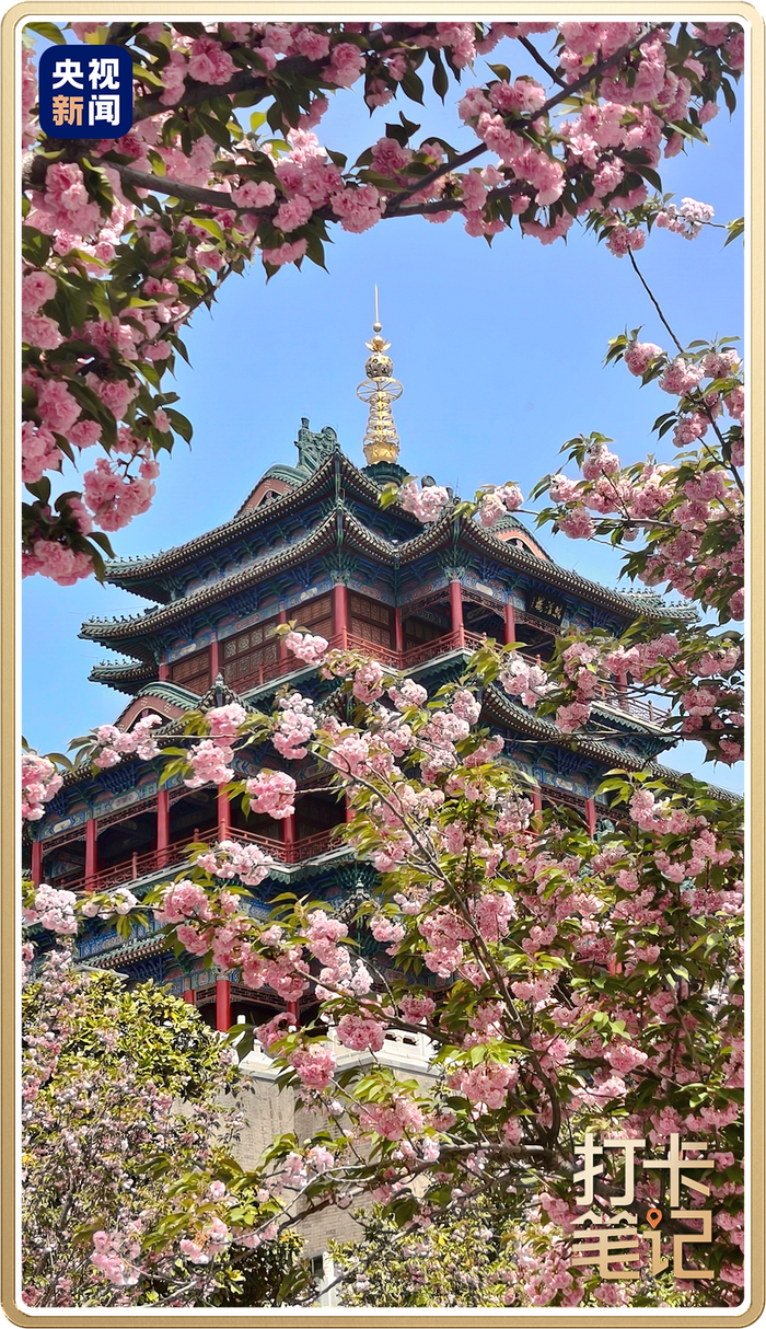 △咸阳清渭楼