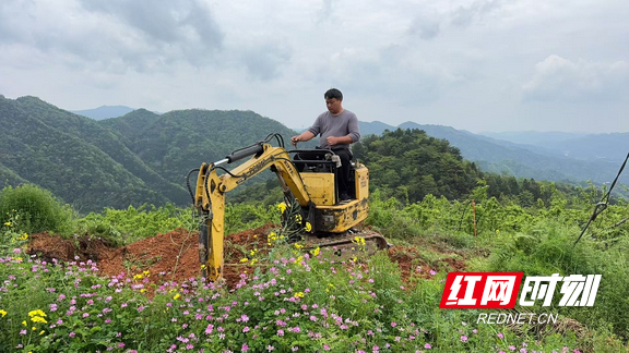 黄桥林操作挖掘机修整果园道路。