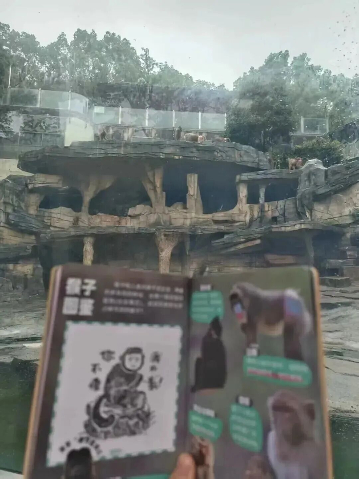 图源温州动物园熊猫文创店