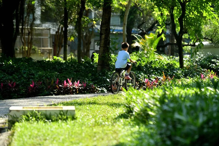 △25日，广东广州降水暂歇，迎来晴好周末。