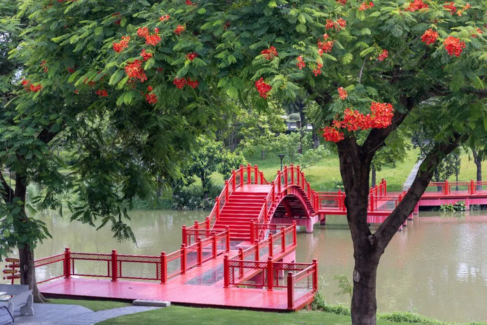 *图源自乐从发布微信公众号