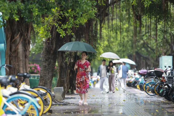 △24日，海南三亚迎来一轮明显降雨。