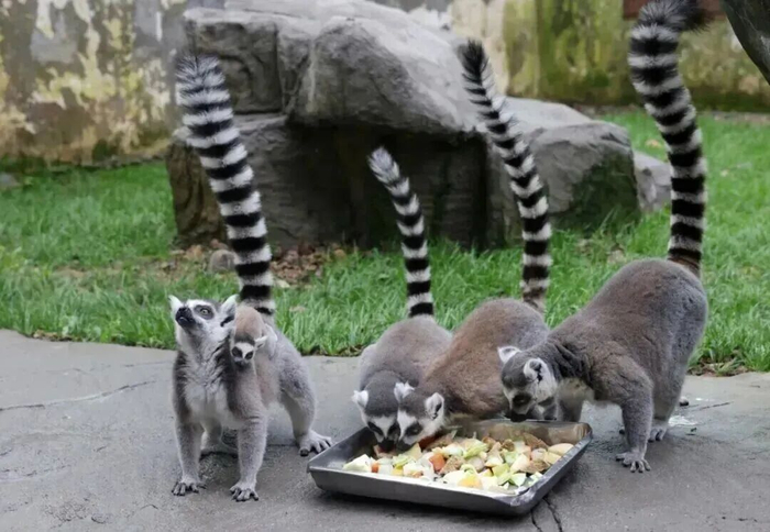 图源瓯海文化旅游