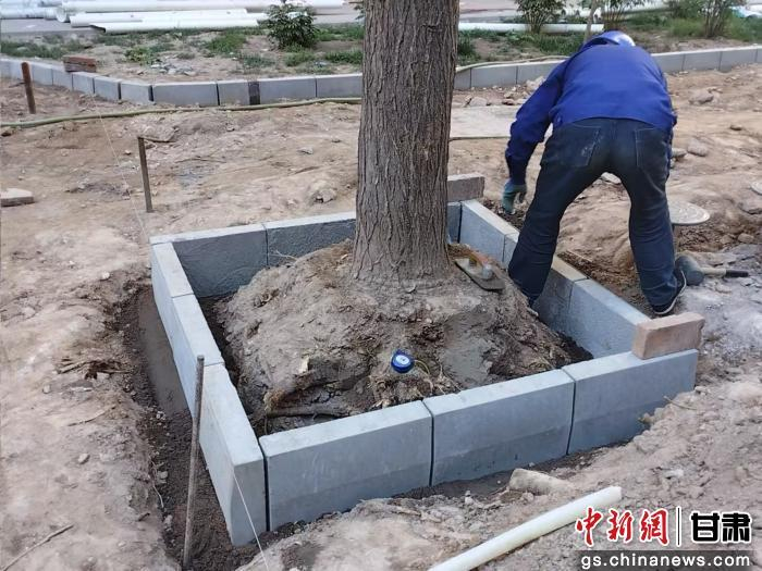   图为西固区永盛苑小区改造现场。 