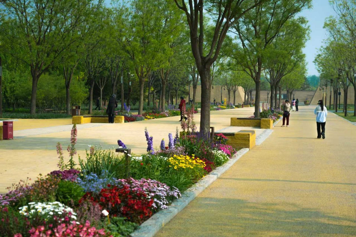 路县故城遗址公园“特色花境”。北京市公园管理中心供图