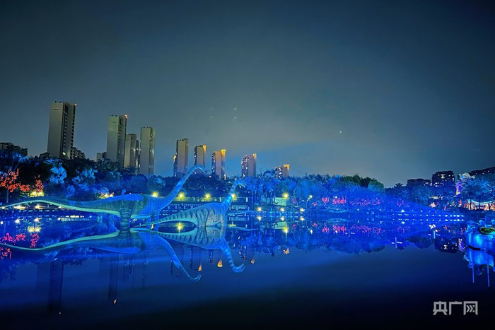 常州中华恐龙园夜景（央广网记者  吕倩媛  摄）