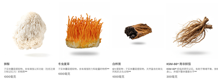 图片来源：Spacegoods