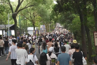 “五一”机票价格冲上近年新高