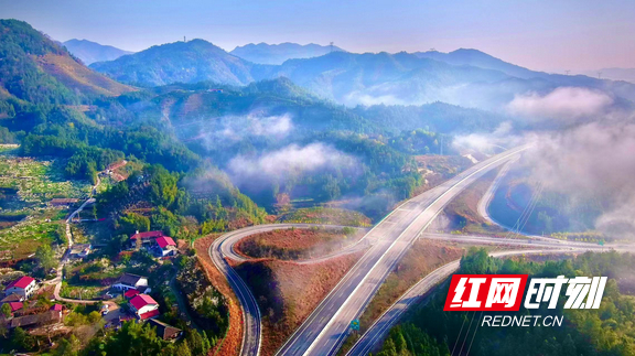 桥林果园半边山基地全景。