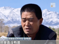 出苗率不足三成，农户损失惨重！警方破案→