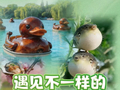 【开局之年看中国·遇见不一样的江苏】美食里的“十三太保”