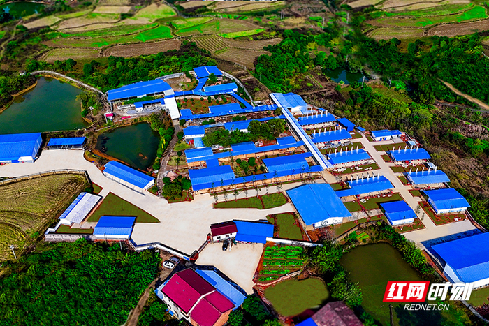 醴陵花炮企业生产厂房。