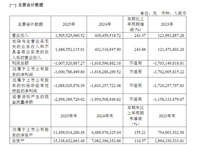 2025年年报截图