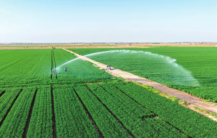 永济市虞乡镇的田野上，现代化喷灌设备高效运转，有序开展春灌作业。程永仁摄