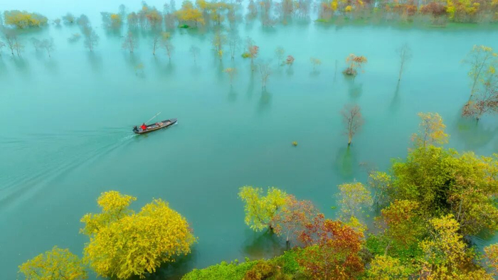 ▼上下滑查看更多