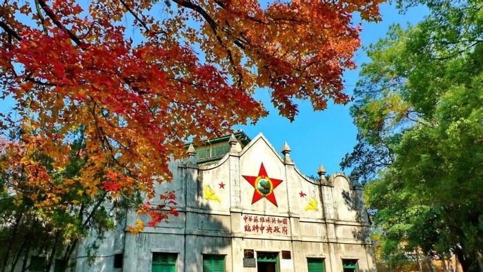 ▼上下滑查看更多