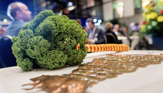 图片来源：视觉中国