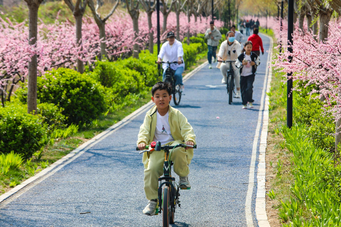 2026年3月29日，市民正在山东乐陵冀鲁边湿地公园骑行锻炼。山东省乐陵市委宣传部供图