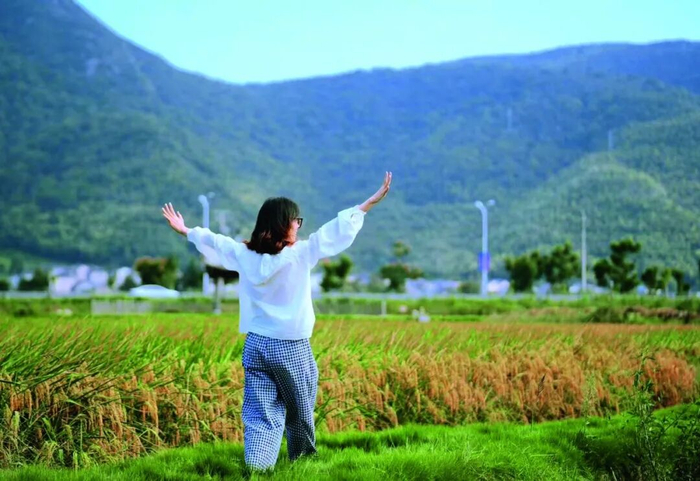 游客迎风奔跑在田野稻田间。