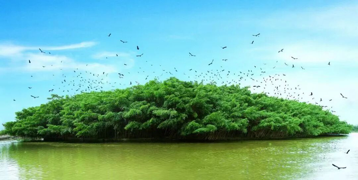 小鸟天堂景区。黄永照 摄