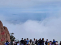 @全体游客，5月16日至19日，可半价游崂山！还有这些文旅活动等你来→