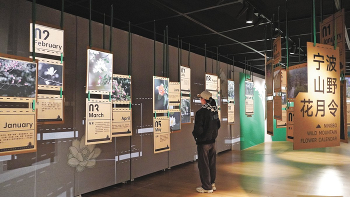 “大地之书”展览中宁波山野花月令展示区。周晓思 摄