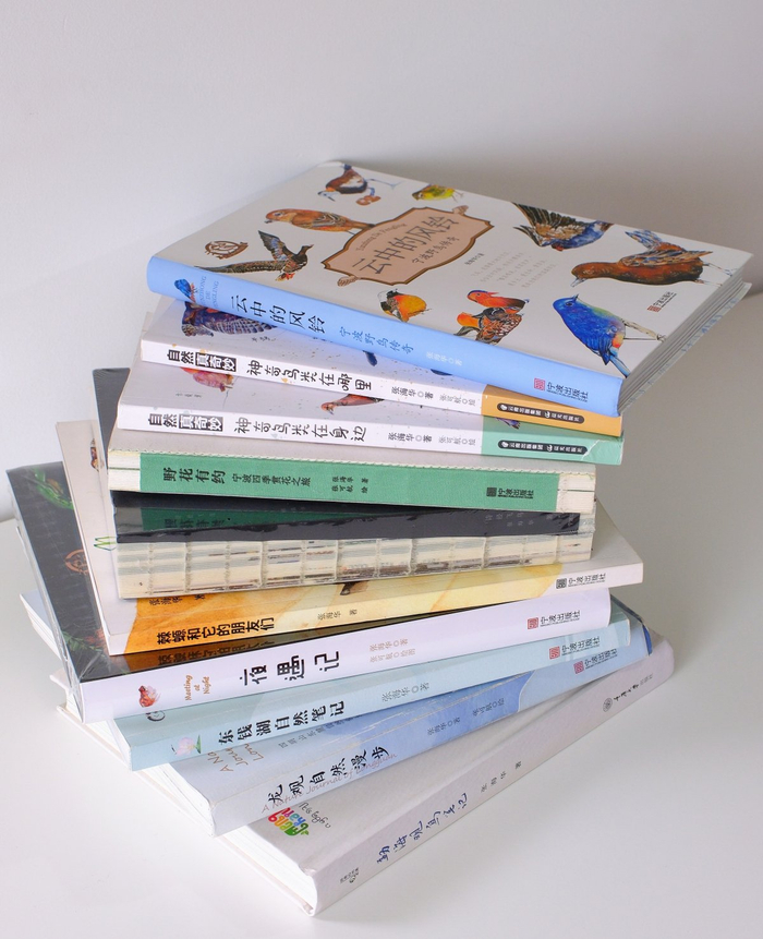 大山雀出版的部分书。受访者供图