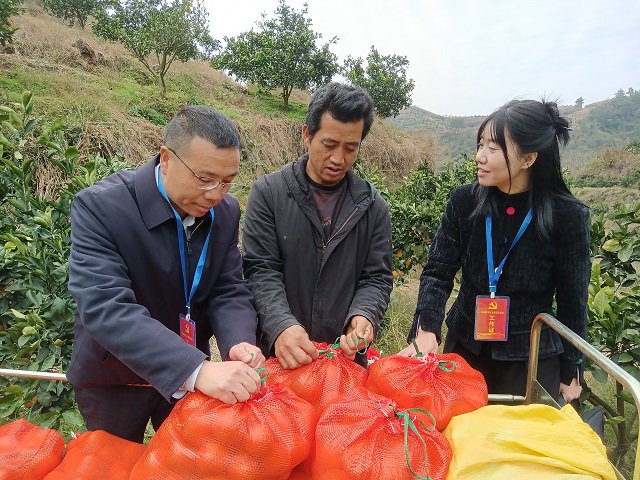 图为湖南省怀化市纪委监委干部深入田间地头了解乡村振兴项目资金使用情况。 米承实 摄