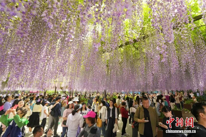 中新社记者 张炜 摄