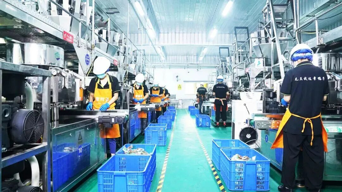 “章鸭子”酱板鸭生产线