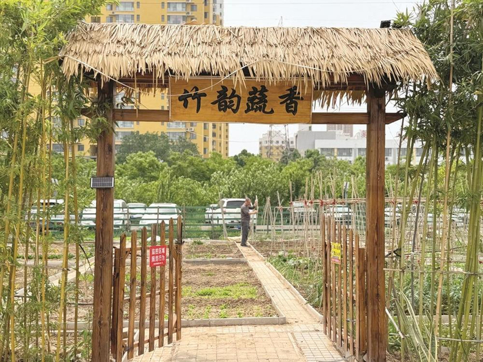         聂庄社区的“共享菜园”。  赵鸿粼 摄    