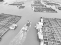 “海上粮仓”