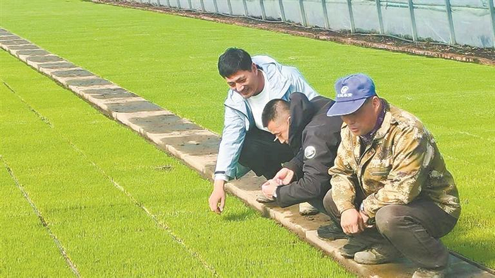     气象专家指导农服。