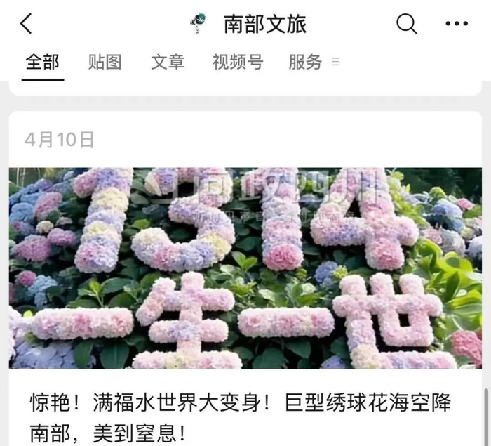 南部文旅公众号上发布的绣球花海宣传图，未标注网络示意图片