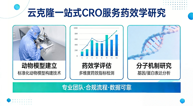 图1 云克隆一站式CRO服务技术路线