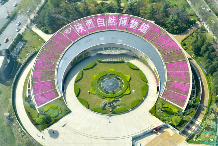 ▲图源：陕西自然博物馆