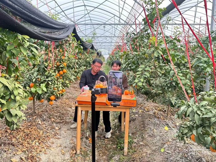 尹浩庭（右一）在红美人果场直播（央广网发  图片来源火龙街道宣传办）