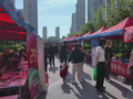 烟火气里找工作！石家庄把“人才夜市”开到家门口