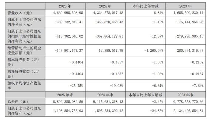 图源：青岛双星2025年年度报告