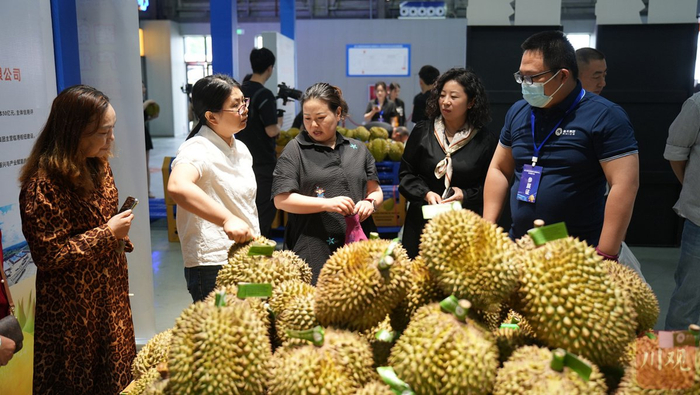 位于成都国际铁路港的进口榴莲集散展示展销中心。陈昊 摄