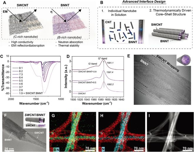 （来源：DOI：10.1002/adma.202513805）