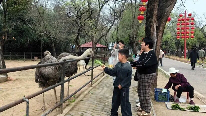 图源：阜阳文旅