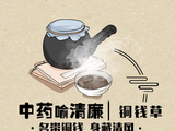 中药喻清廉丨铜钱草：名带铜钱 身藏清风